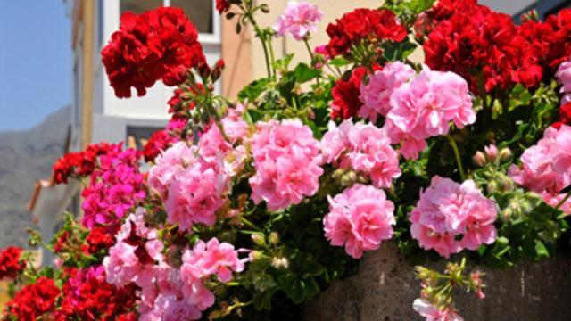 Hotel Florida Limone sul Garda Εξωτερικό φωτογραφία